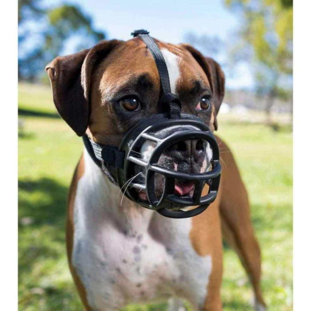 Baskerville Ultra Muzzle Sz 6