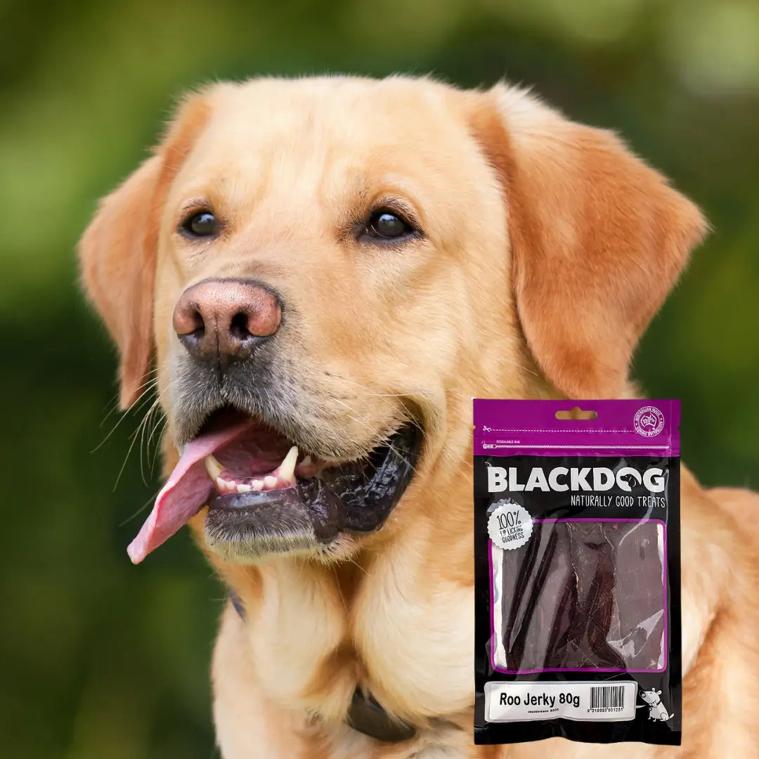 Black Dog Roo Jerky 80g