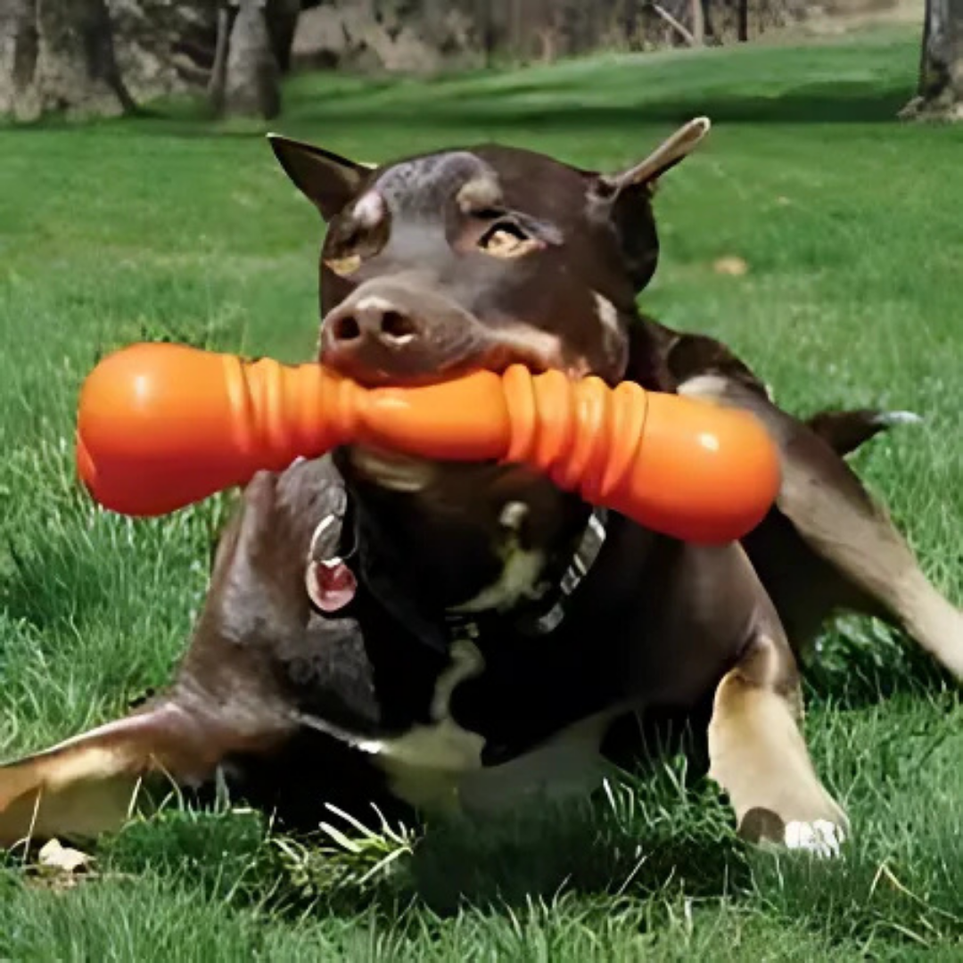 kong_squeakstix_lge_2.png