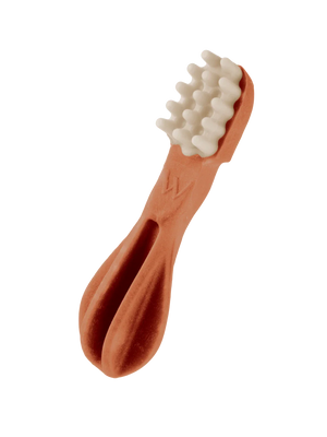 whimzees toothbrush dental dog treats