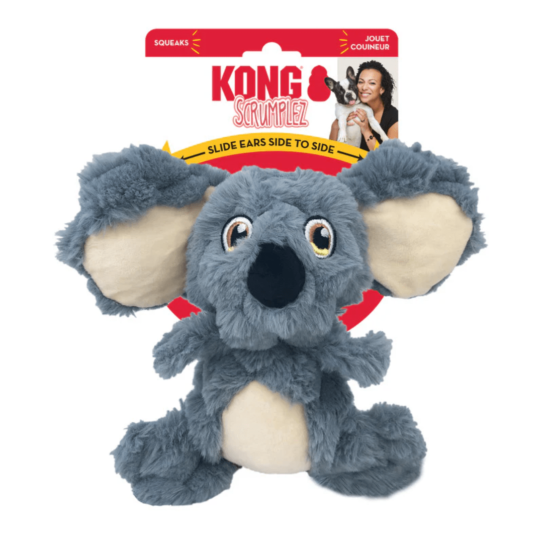 KONG SCRUMPLEZ KOALA MD