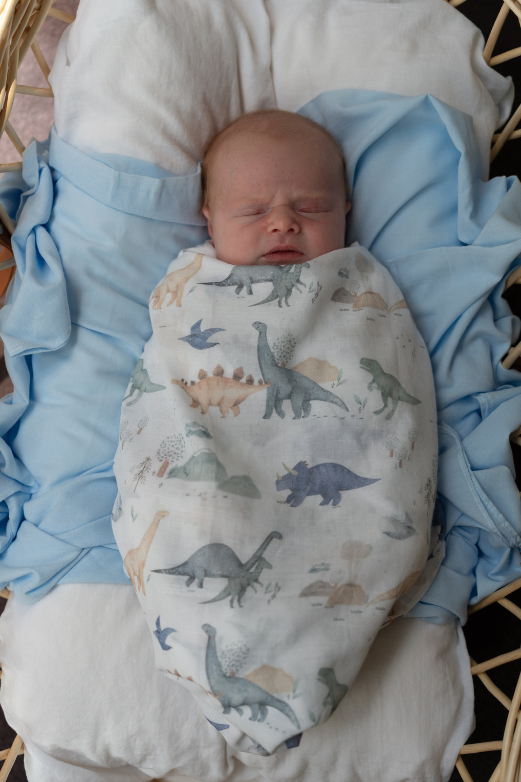 Rattles for Baby Boy Hamper