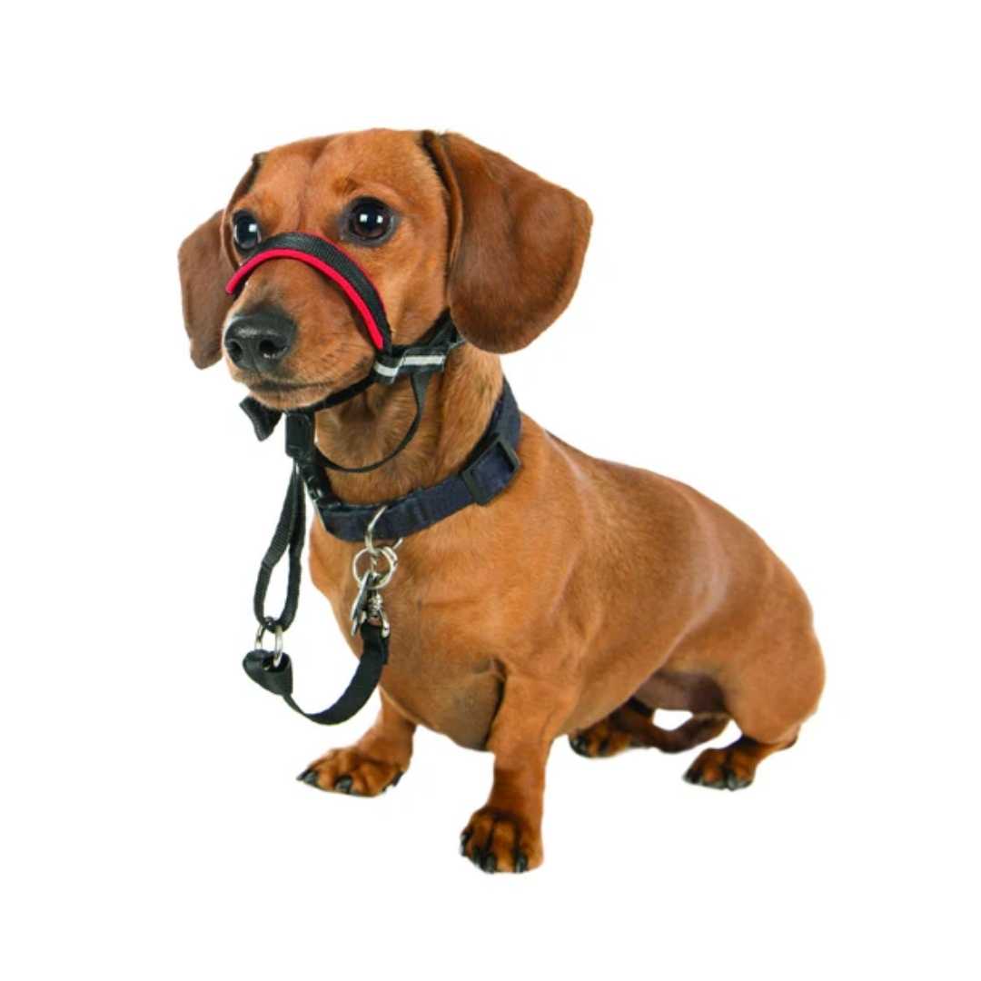 Halti Optifit Small