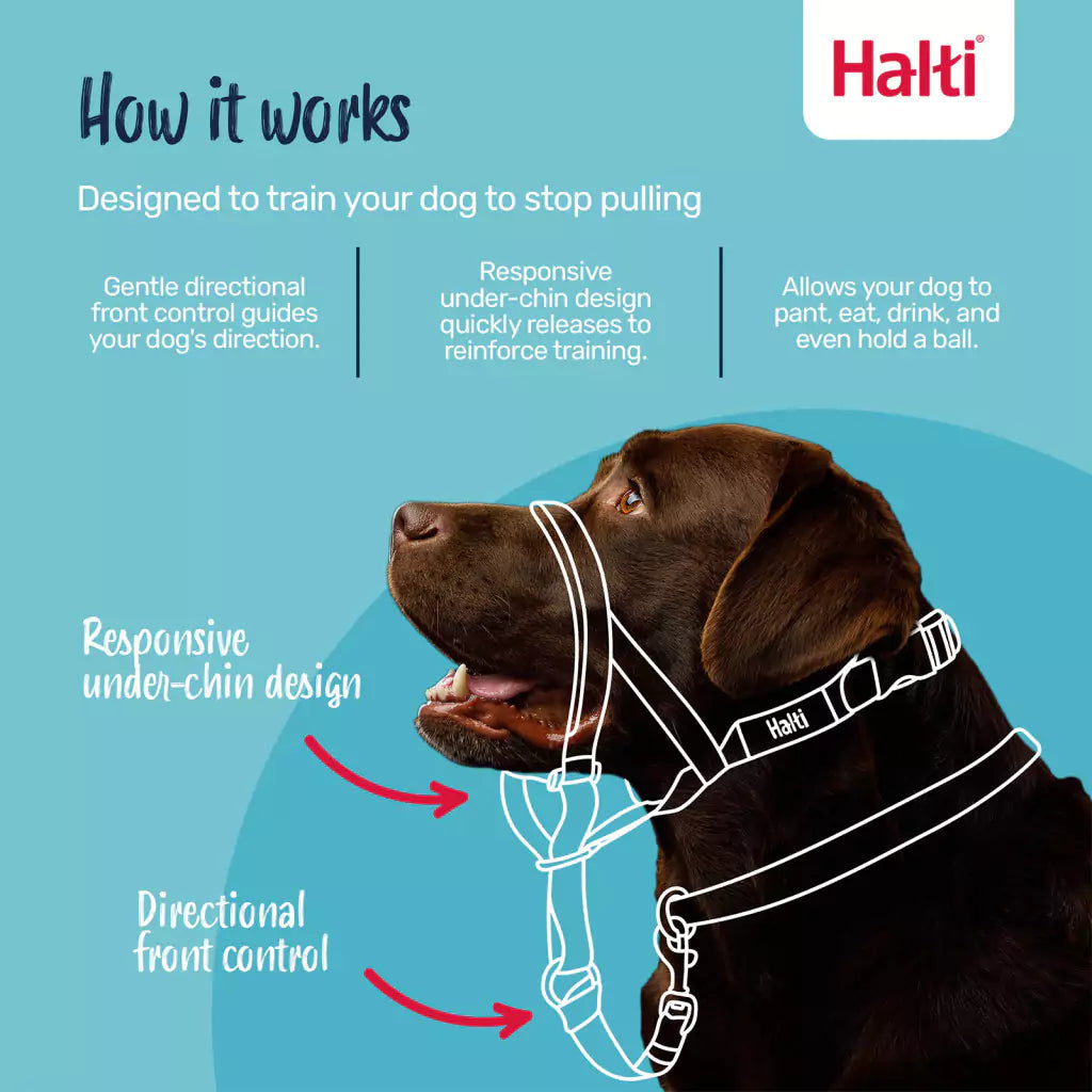 Halti Headcollar in Black Size 3