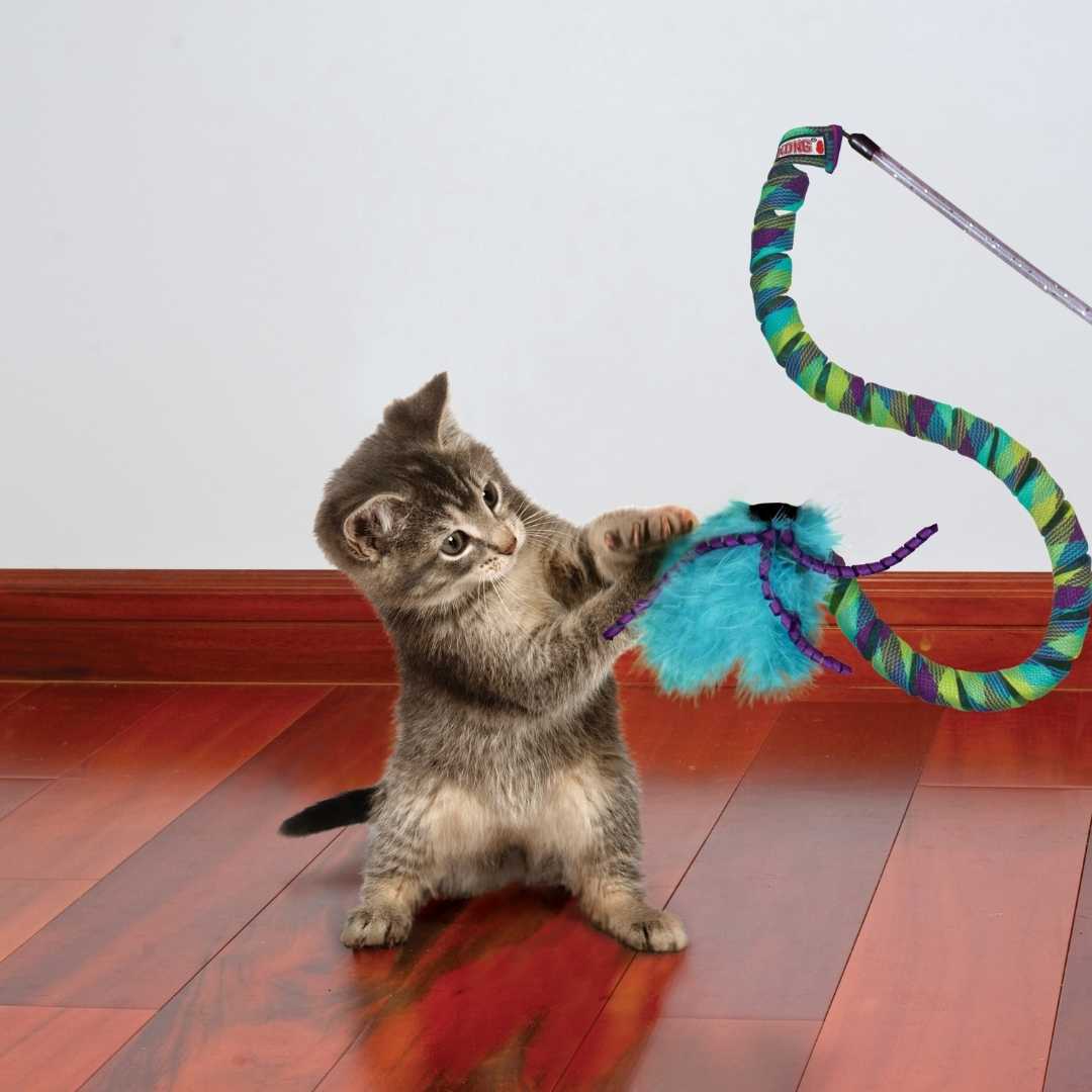 KONG Cat Curlz Teaser (Cat52)
