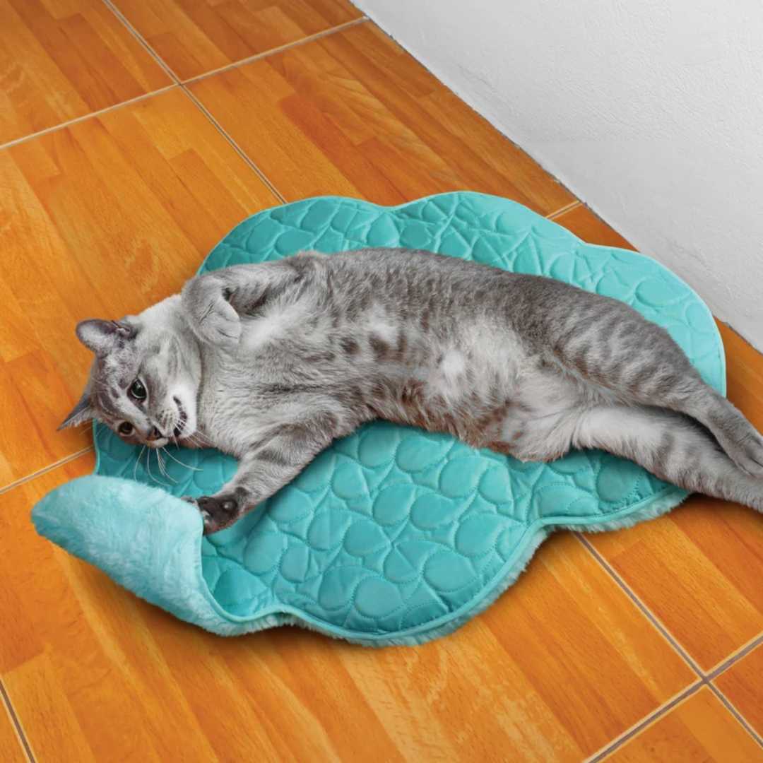 KONG Cat Play Spaces Cloud (CA446)
