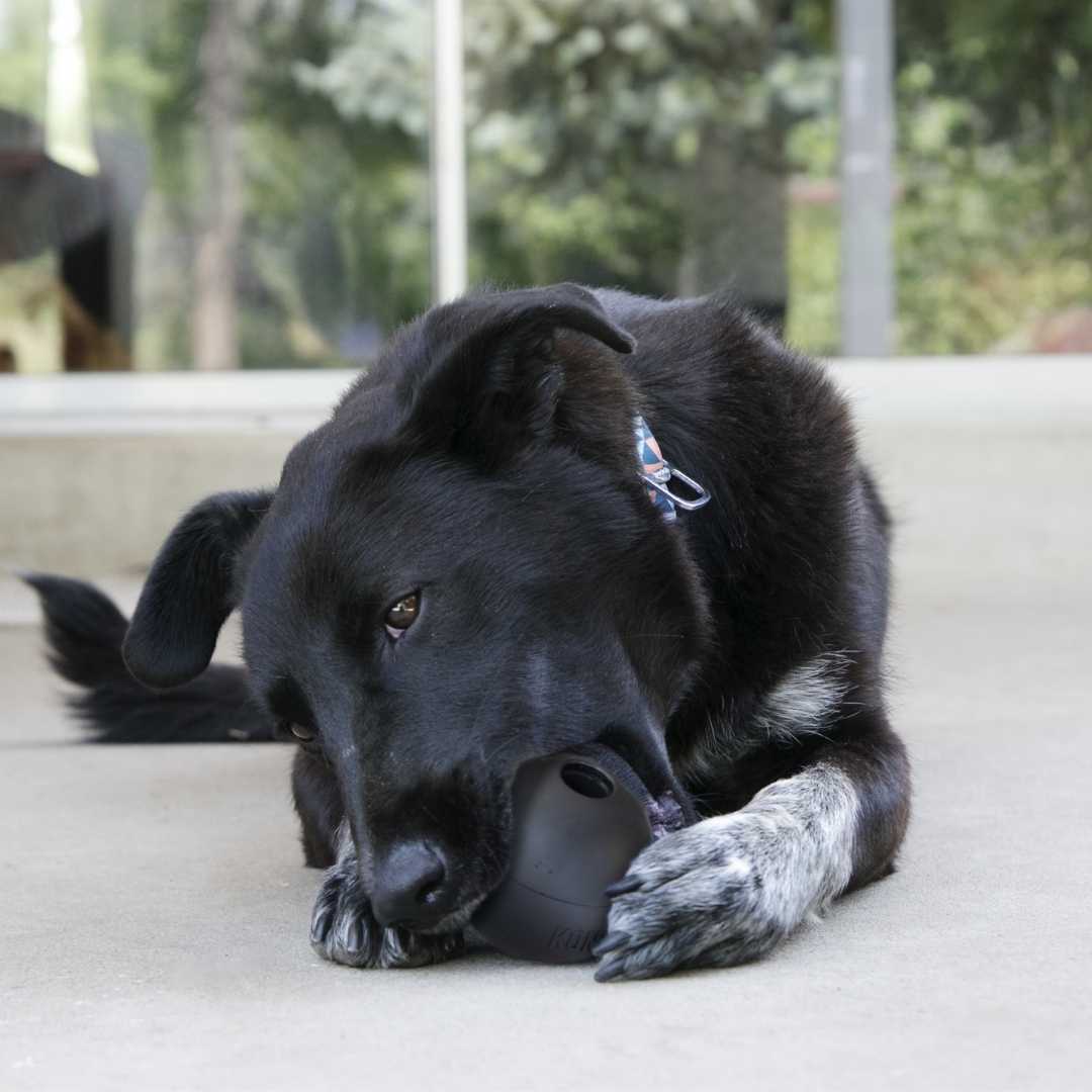 Kong Dog Extreme Ball Medium/Large (UB1)