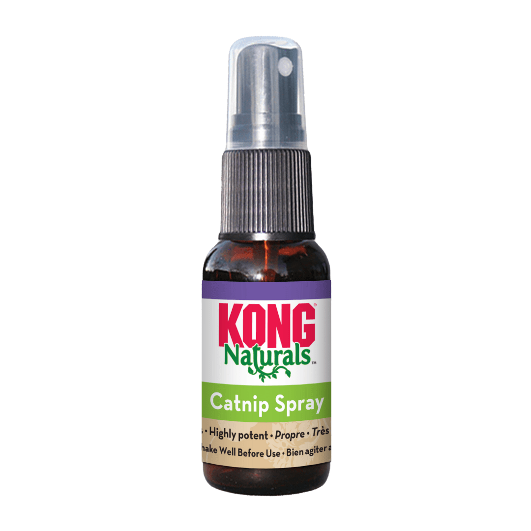 KONG CAT NATURALS CATNIP SPRAY (CCS)