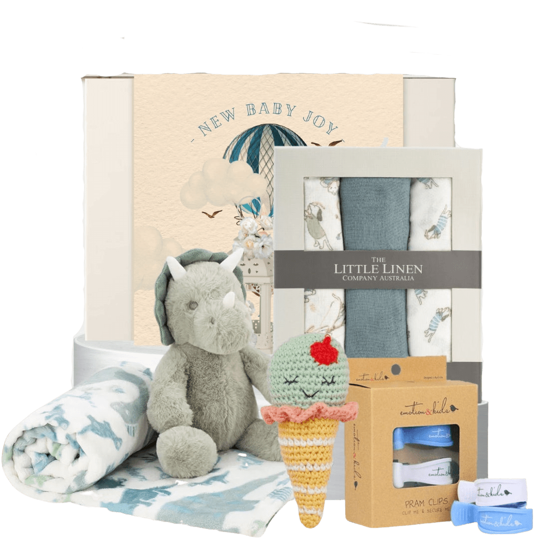 Newborn Baby Boy Playtime Hamper