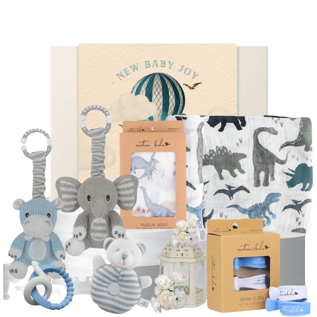 Rattles for Baby Boy Hamper