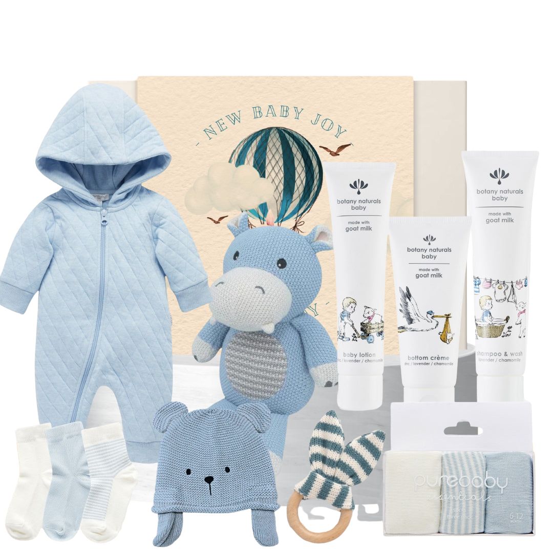 Snuggles Baby Boy Hamper