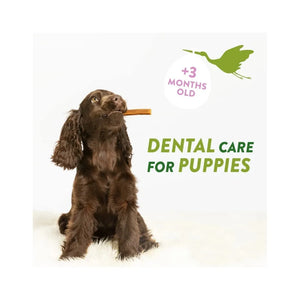 Whimzees Puppy M/L Breed Dental Chews