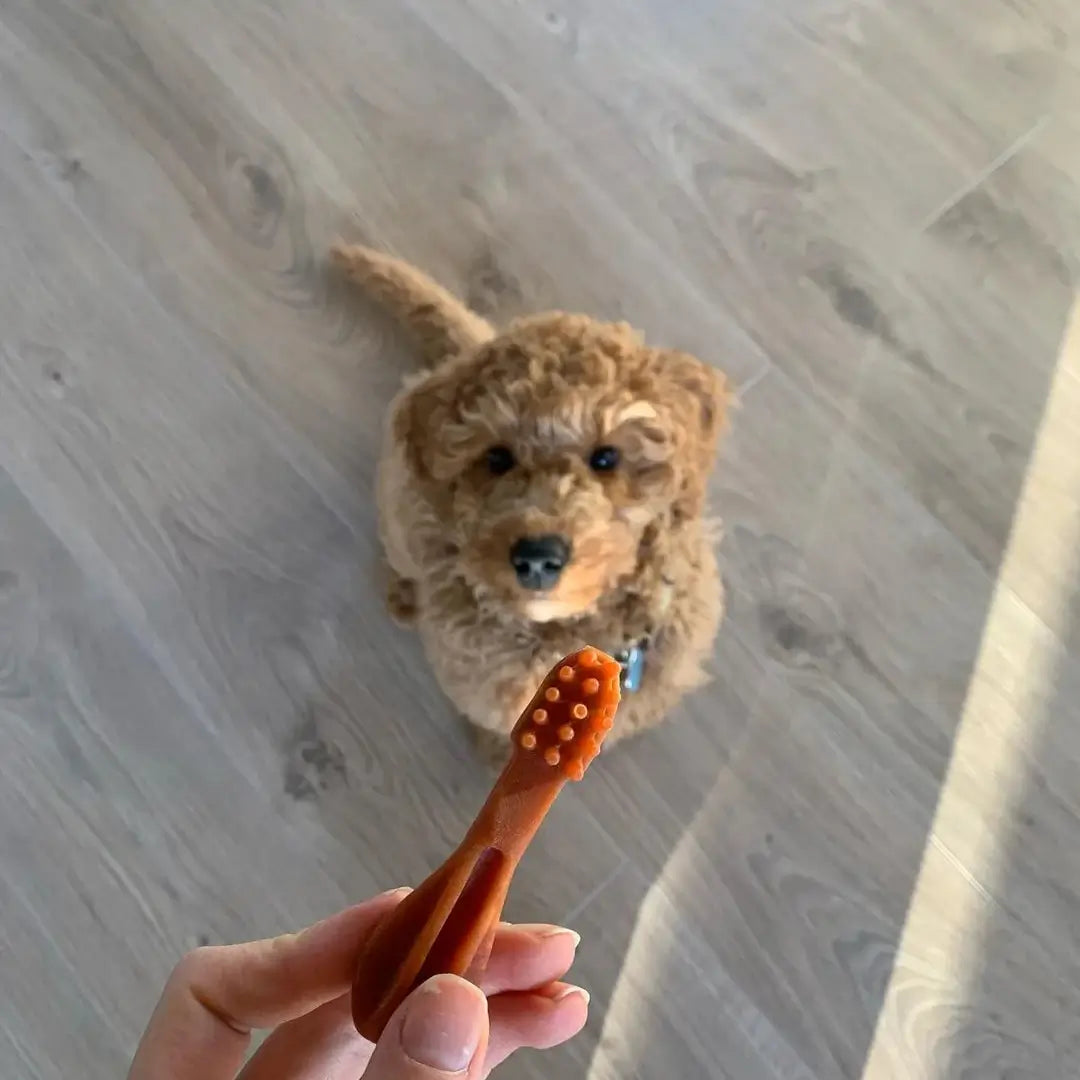 Whimzees Toothbrush