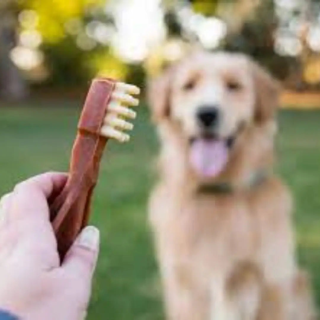 Whimzees Toothbrush M