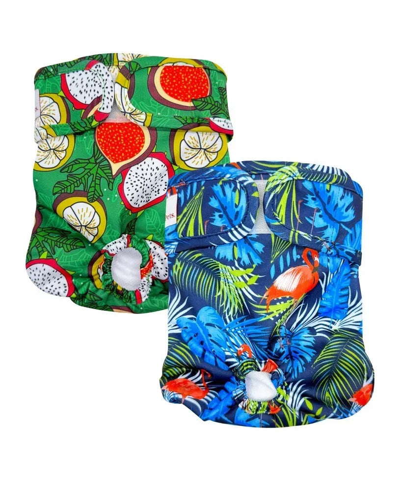 LOVING PETS WASHABLE NAPPIES BLUE/GREEN LARGE 2PK
