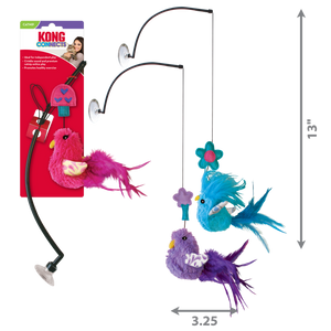 cat45-scaled.png