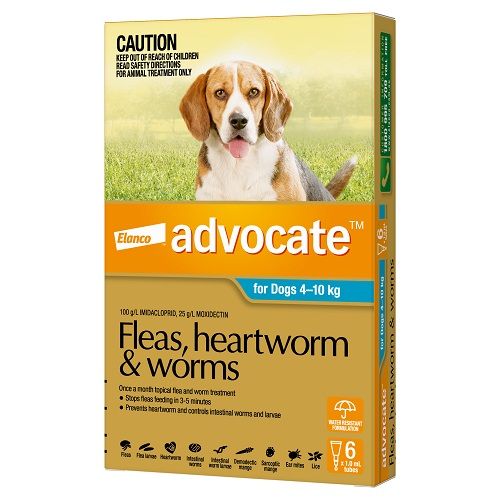 Advocate flea, heartworm, and worm treatment packaging for dogs on a white background