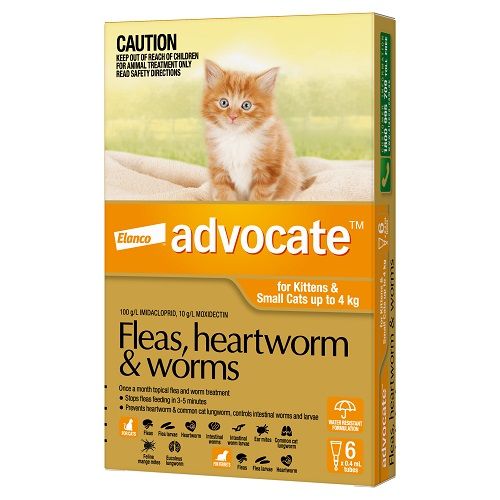 ADVOCATE CAT  0-4KG SMALL CATS & KITTENS 6'S ORANGE
