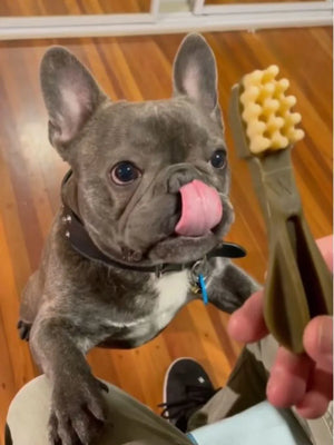 whimzees toothbrush