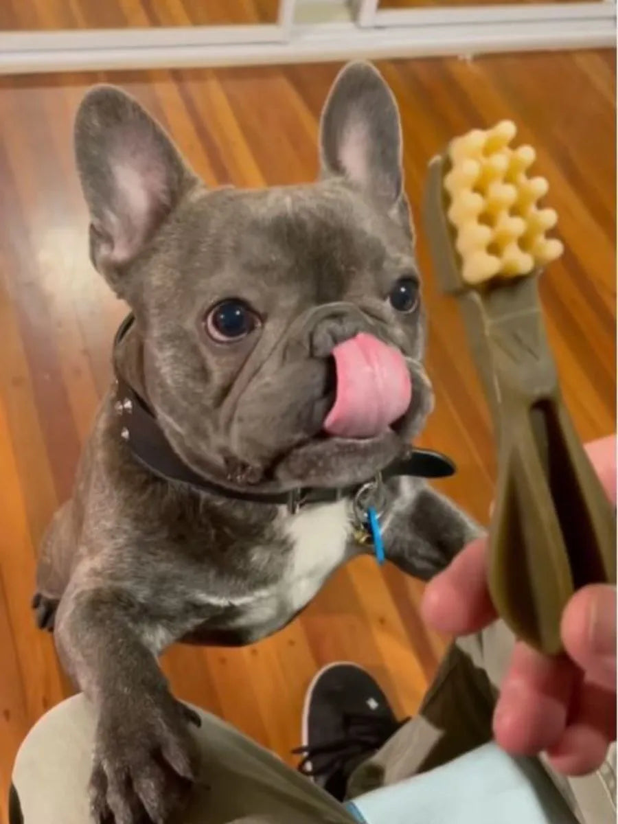 whimzees toothbrush